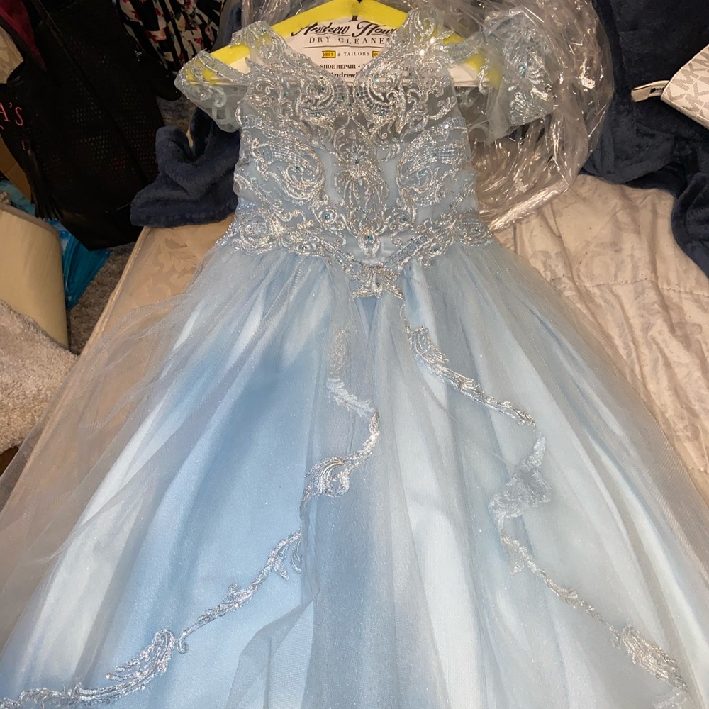 Cinderella Gown